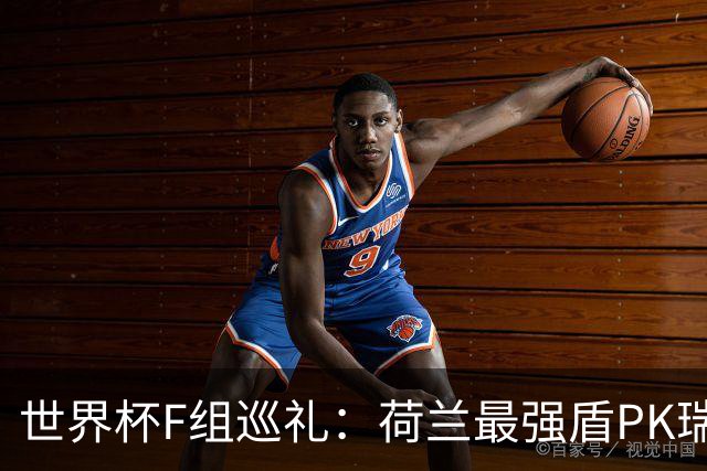 世界杯F组巡礼：荷兰最强盾PK瑞典犀利刀 日本短板明显