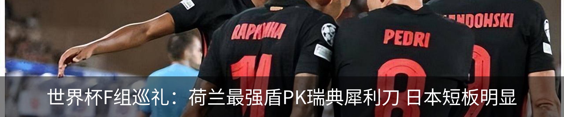 新闻动态